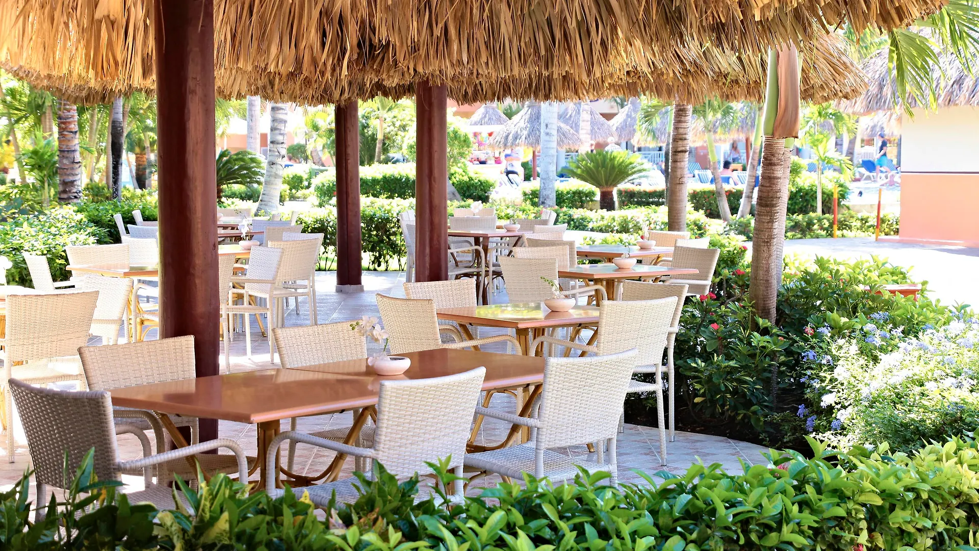 Resort Bahia Principe Grand Turquesa Hotel Punta Cana